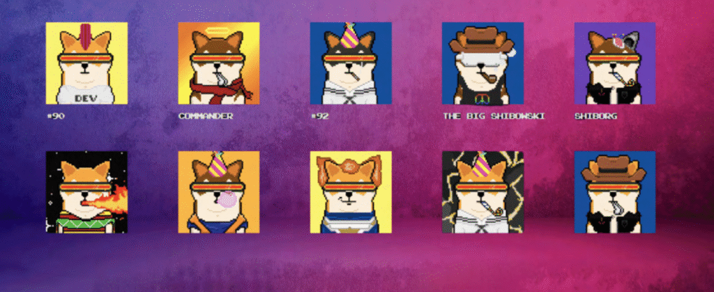 New NFT Power Hits Shiba Eternity — Shiboshis Take the Lead