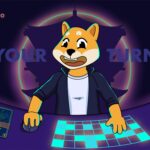 Shiba Eternity 101