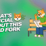 The Ultimate Shibarium Hard Fork Guide: How It Impacts SHIB Holders