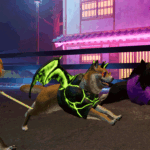 Lap Dogs: Shiboshis Spark Gaming’s Thrilling Revolution Now