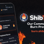 ShibTorch Unleashed: The Bold New Weapon for Shiba Inu’s Rise