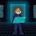 YOURDOMAIN*SHIB