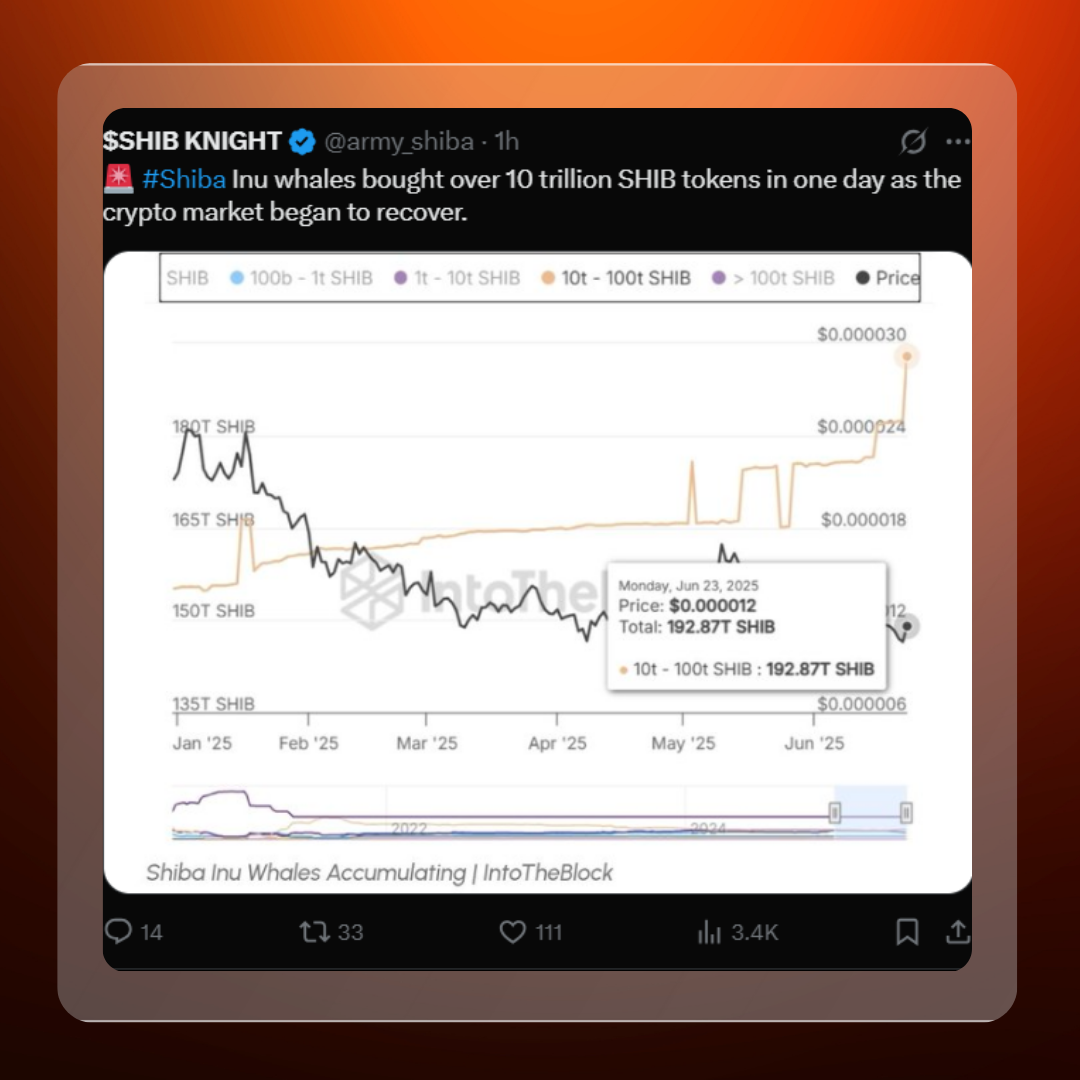 SHIB’s Wild Week – Massive Gains, Big Buys, Critical Updates