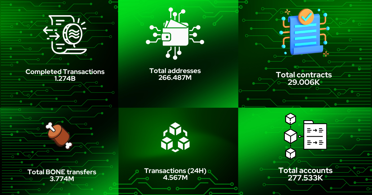 SHIB’s Wild Week – Massive Gains, Big Buys, Critical Updates
