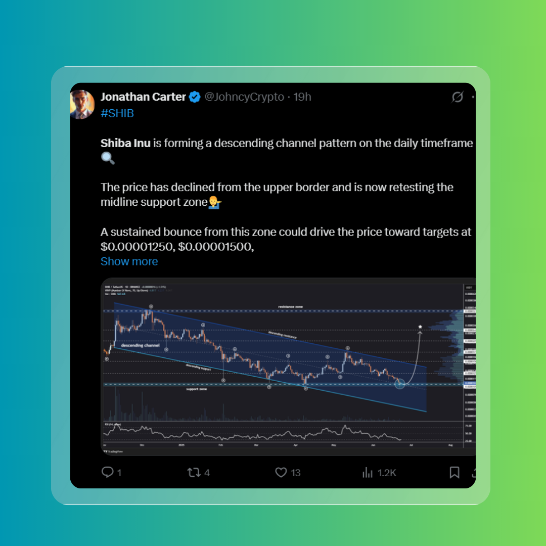 SHIB’s Wild Week – Massive Gains, Big Buys, Critical Updates
