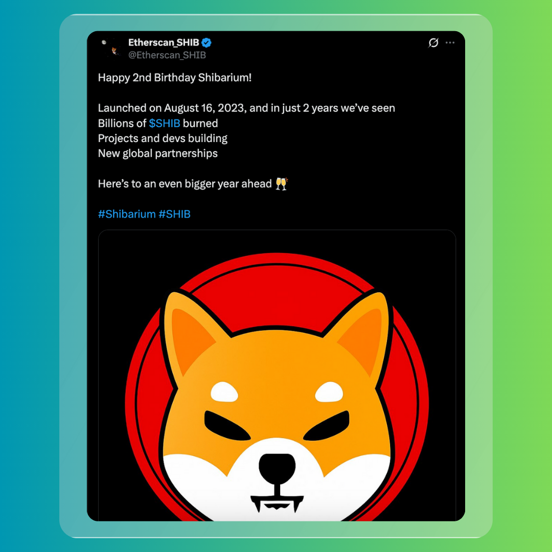 Shiba Inu Spotlight: Burns, Market Moves, and Shibarium Momentum