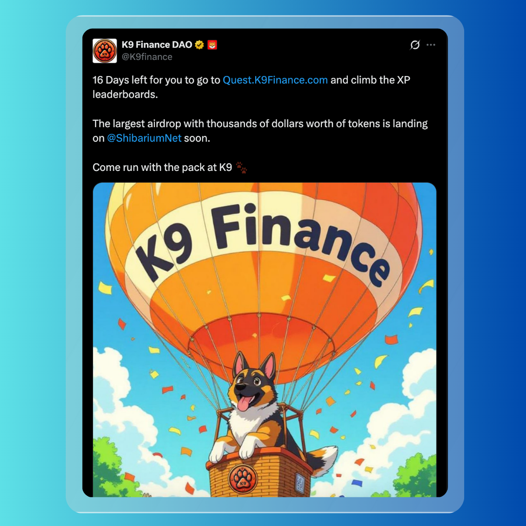 Shiba Inu Spotlight: Burns, Market Moves, and Shibarium Momentum