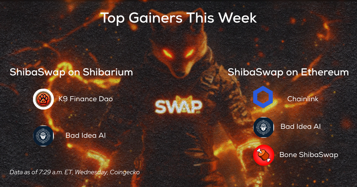 Shiba Inu Spotlight: Burns, Market Moves, and Shibarium Momentum