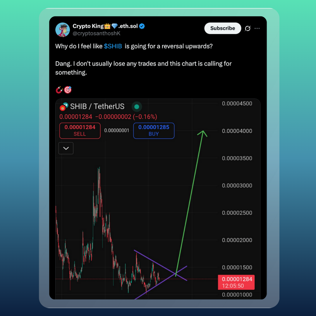 Shiba Inu Spotlight: Burns, Market Moves, and Shibarium Momentum