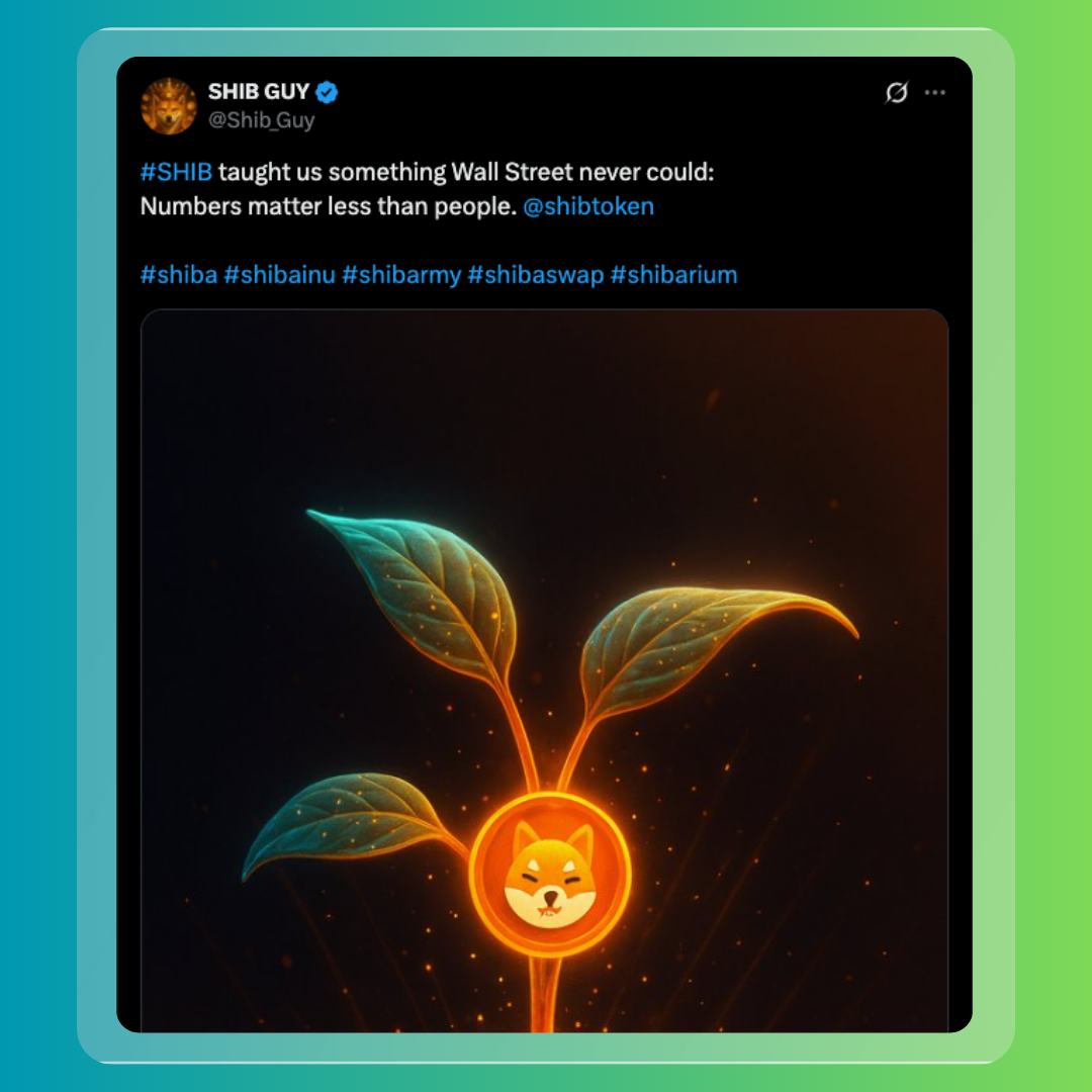 Shib's Explosive Week: Billions Burned, Transactions Soar, and a Mysterious Ally is Introduced