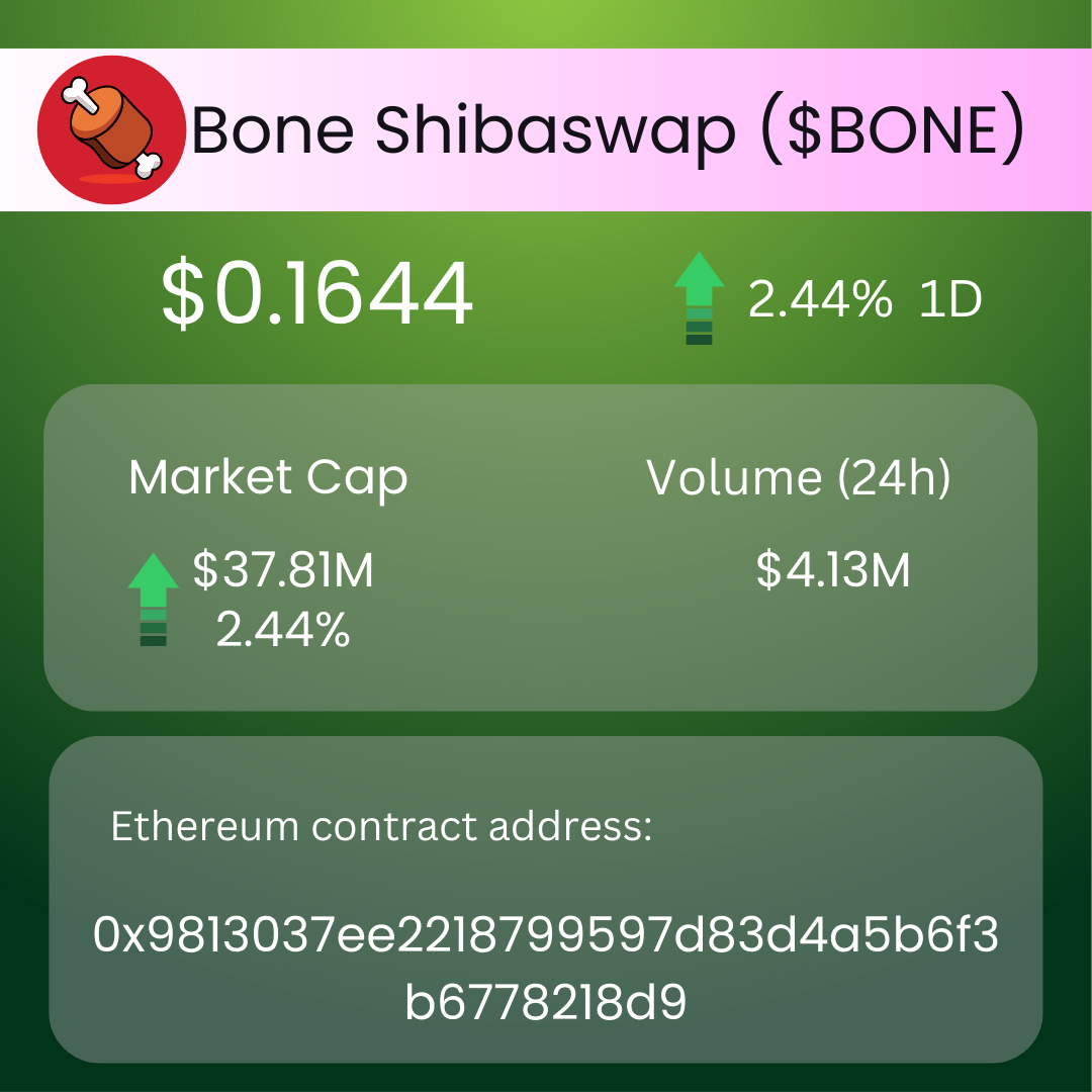 Shiba Inu Spotlight: Burns, Market Moves, and Shibarium Momentum