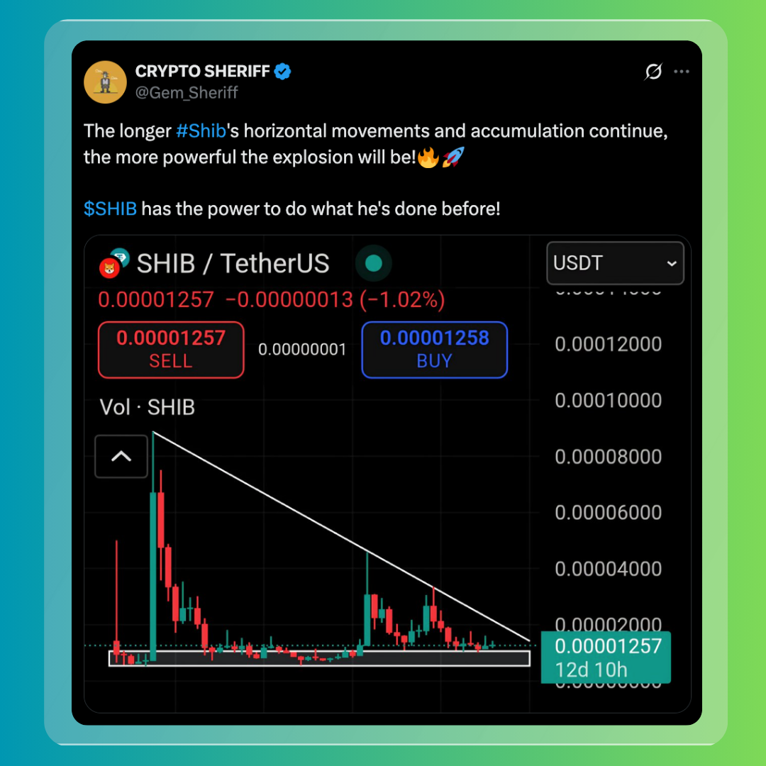 Shiba Inu Spotlight: Burns, Market Moves, and Shibarium Momentum