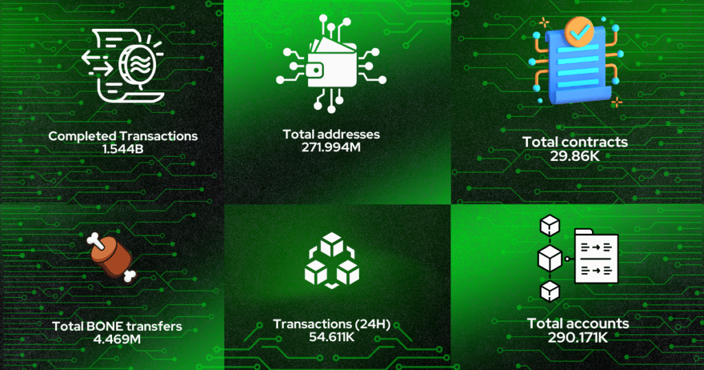 Shiba Inu Ecosystem Surging with Energy and Momentum
