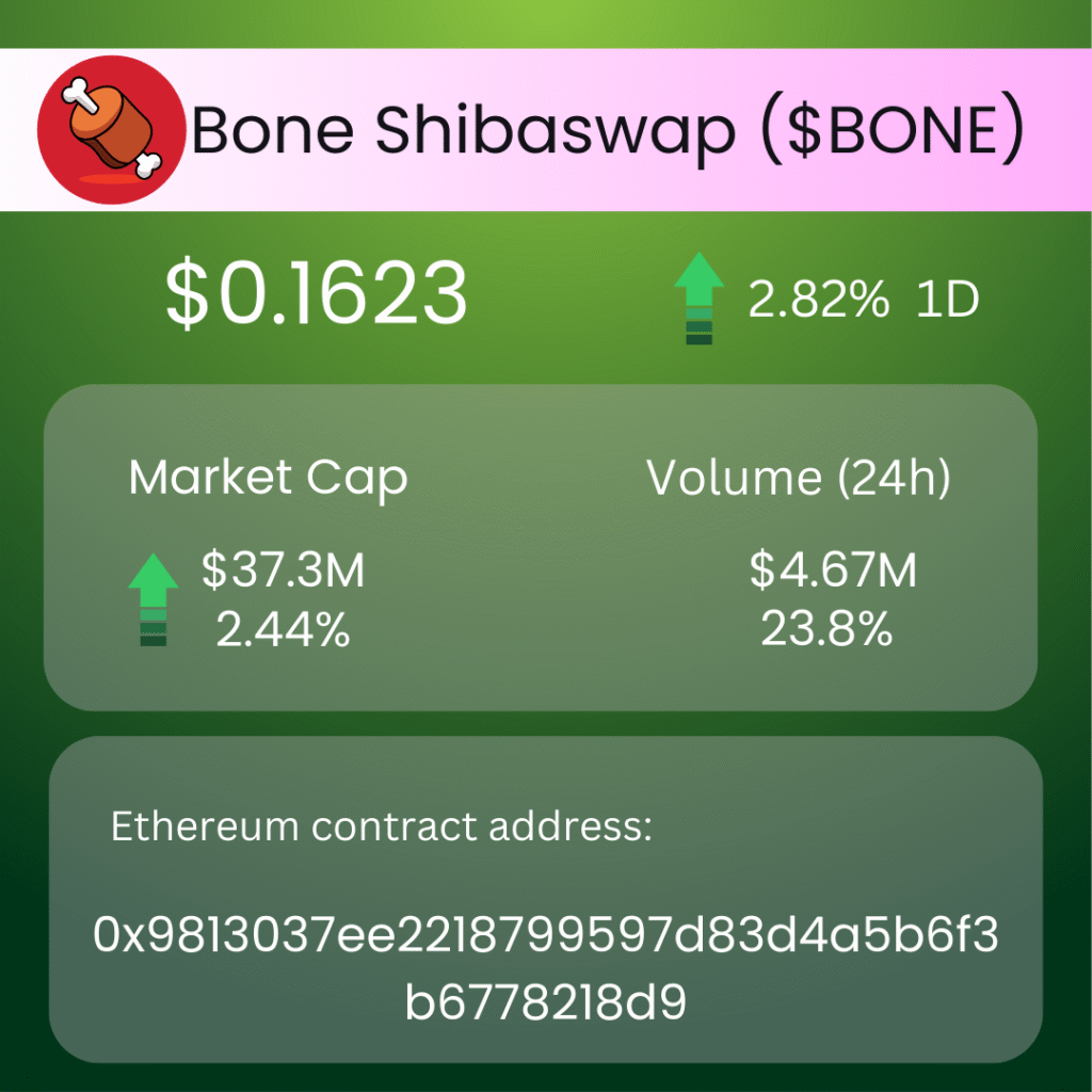 Shib Ecosystem: Market Moves, Growth, and Pack Power Now