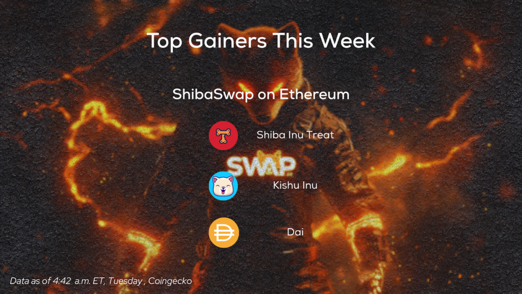 The Pack in Motion: Momentum, Community, and Impact