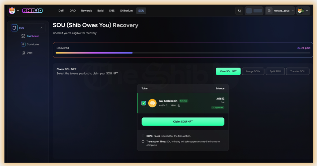 Programmable Receipt: Ultimate Guide to Navigating the SOU NFTs