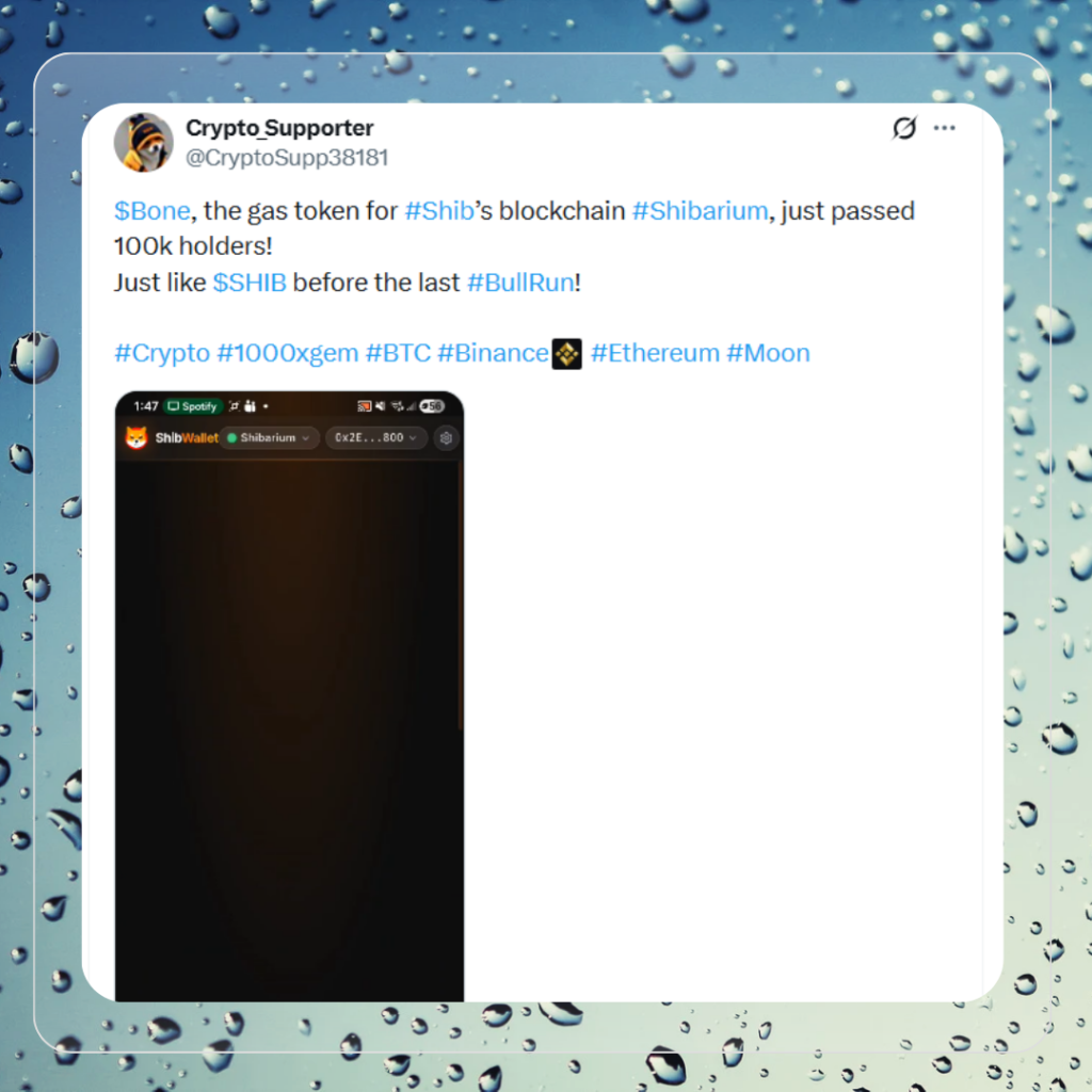 WAGMI: Shib Army in Full Stride